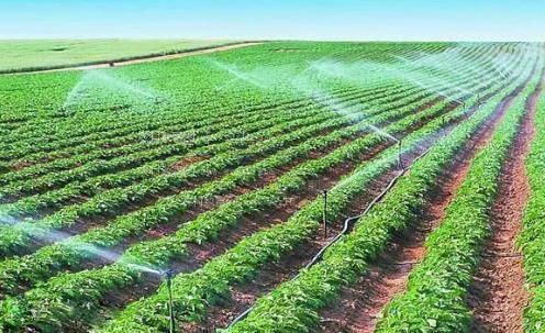 日屌网站农田高 效节水灌溉